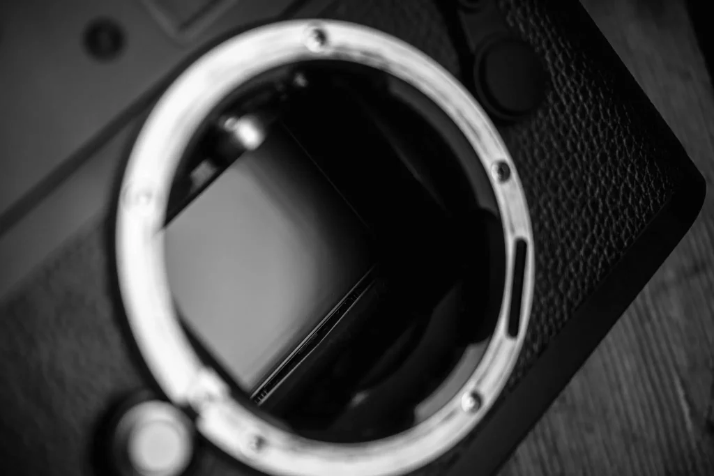 Leica Monochrom (M9M) review - for the love of B&W 