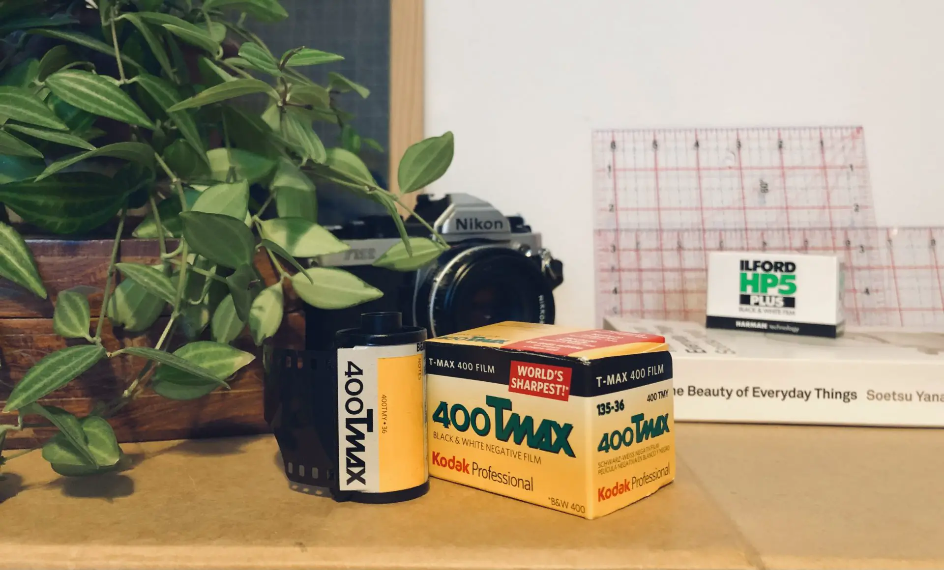 Kodak Professional T-Max 400 Black & White Negative Film - 4 x 5 - 50 Sheets