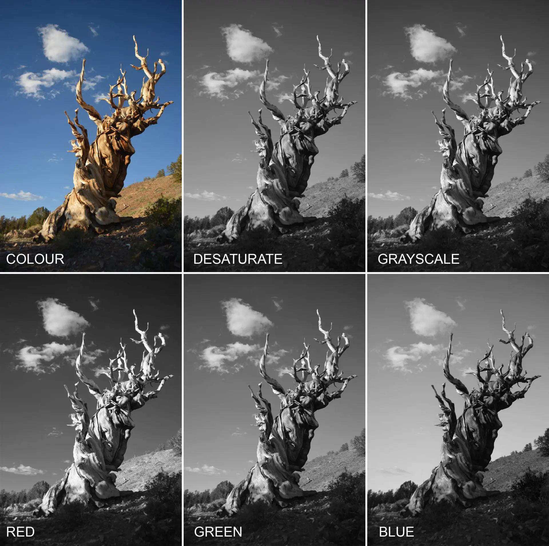 Colour Theory for Black and White Photography Part 1: Digital and
