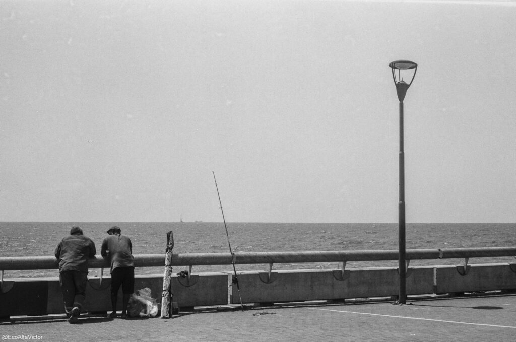 Fishermen on a waterfront