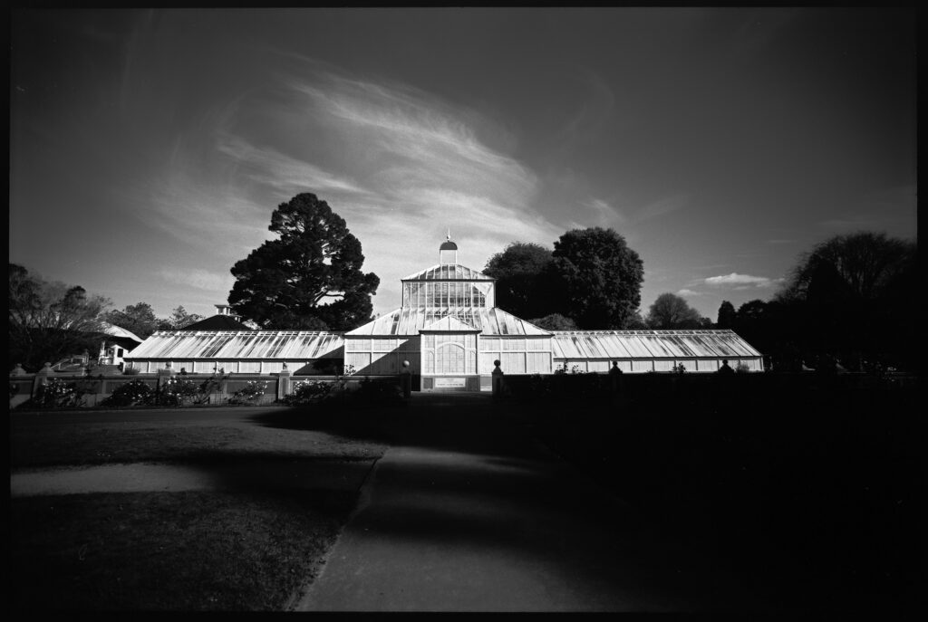 Winter Garden, Dunedin Botanic Gardens.