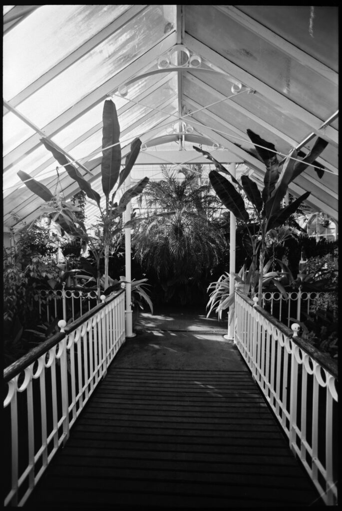 Lily pond bridge, Winter Garden, Dunedin Botanic Gardens - no filter, 17mm Tamron Adaptall II.