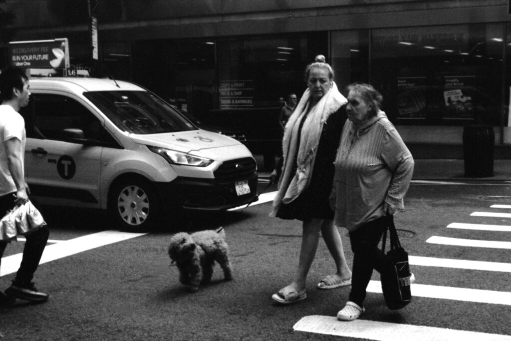 Two ladies and a dog in New York City