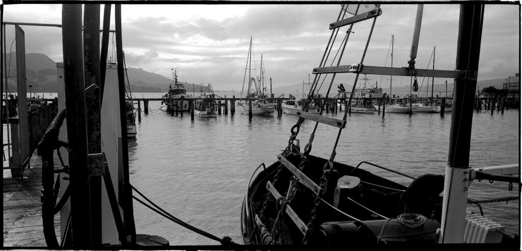 The marina at Port Chalmers, a thriving trade and fishing port.