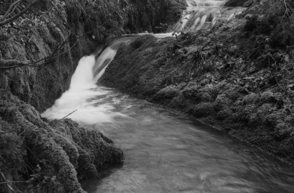 Black and White photograph of a stream