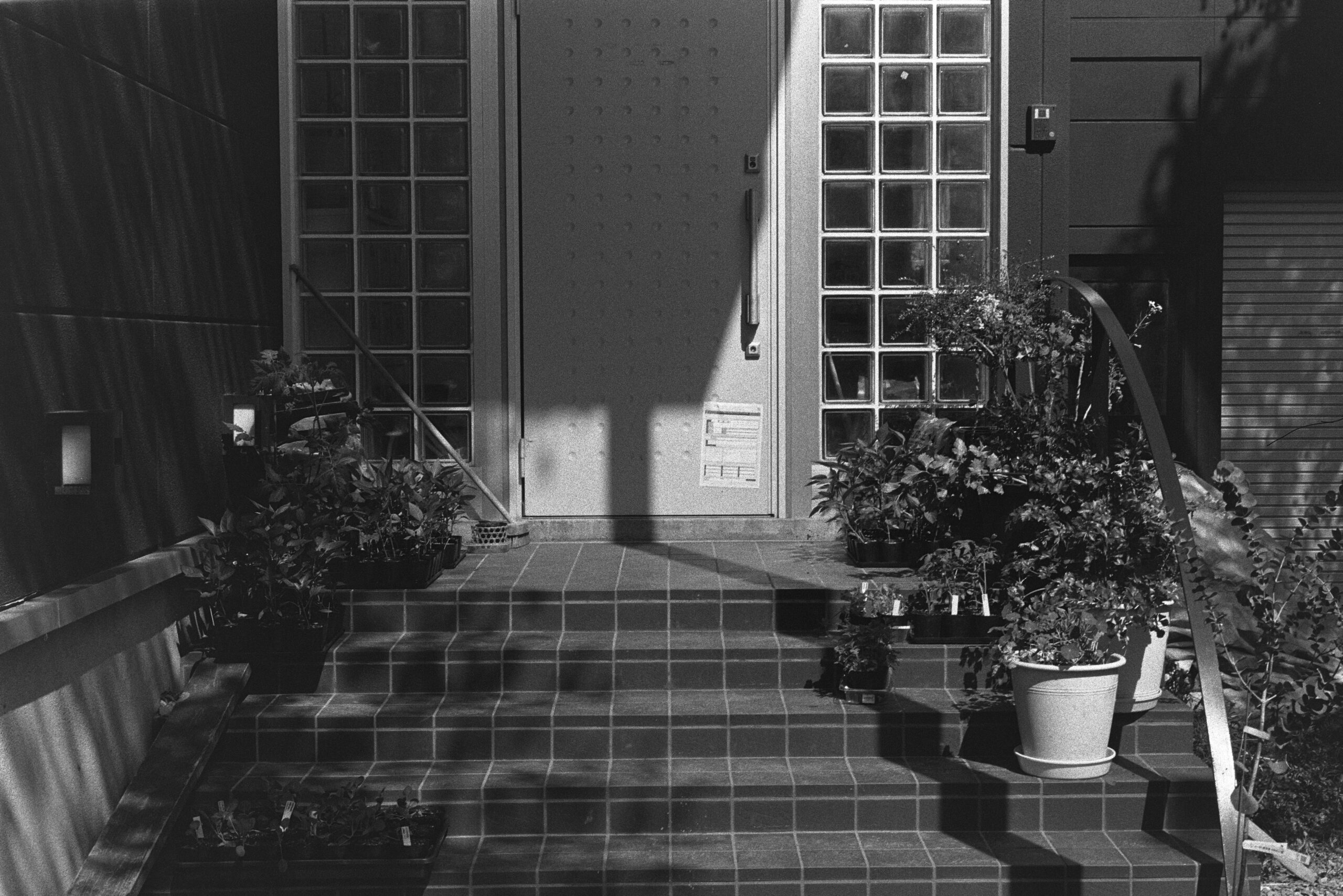 Rodinal tests, temperature, grain and contrast