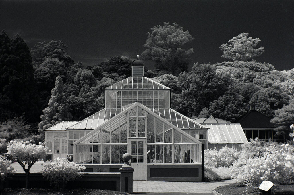 An example of an infrared shot using the R720 filter.