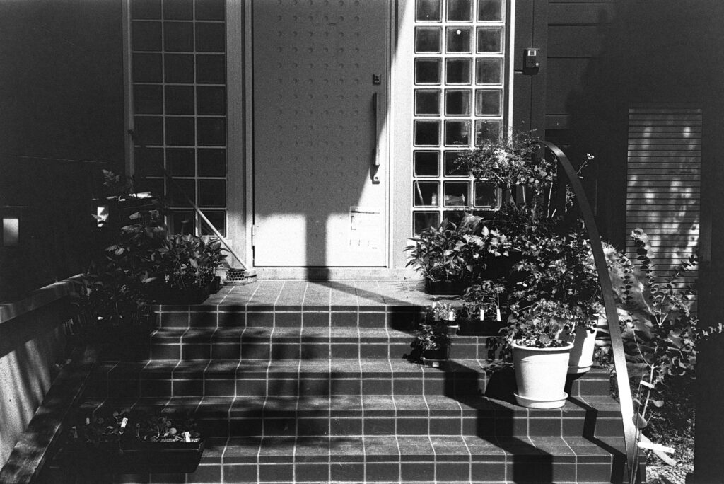 Rodinal tests, temperature, grain and contrast