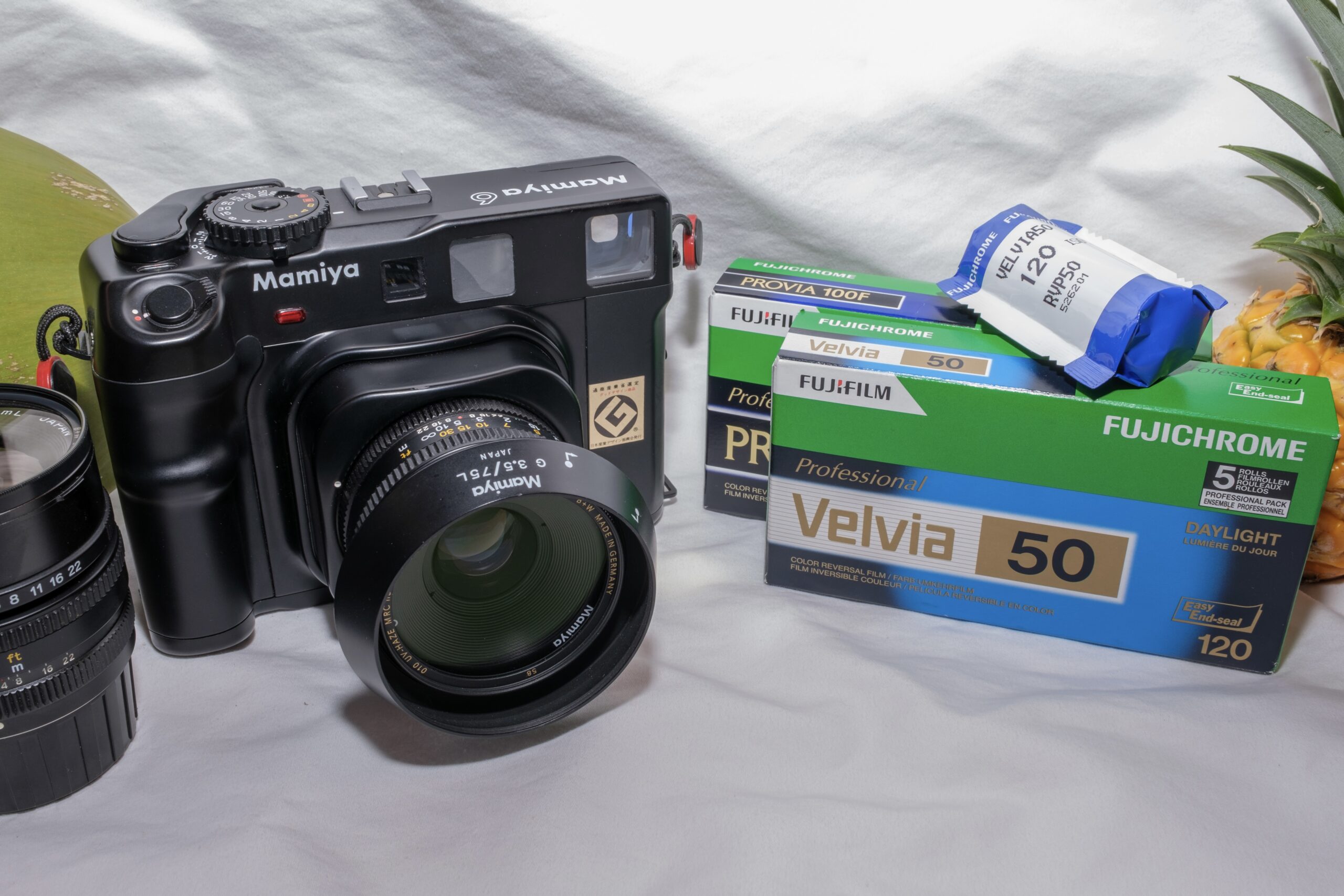 mamiya 6 & Fujichrome still-life