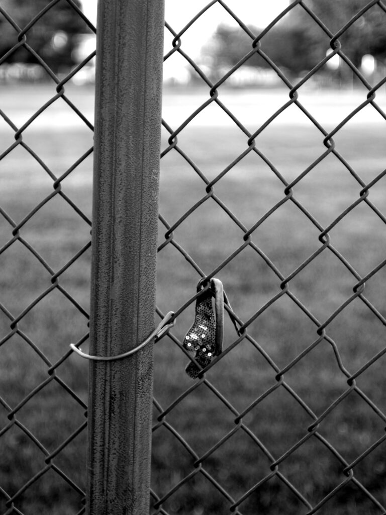 Dog toy on a fence