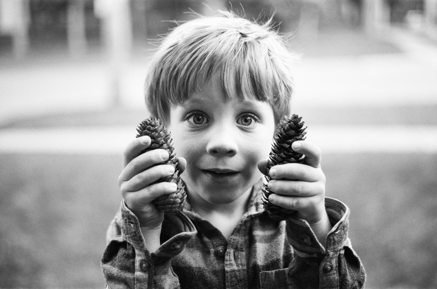 Boy with pinecone