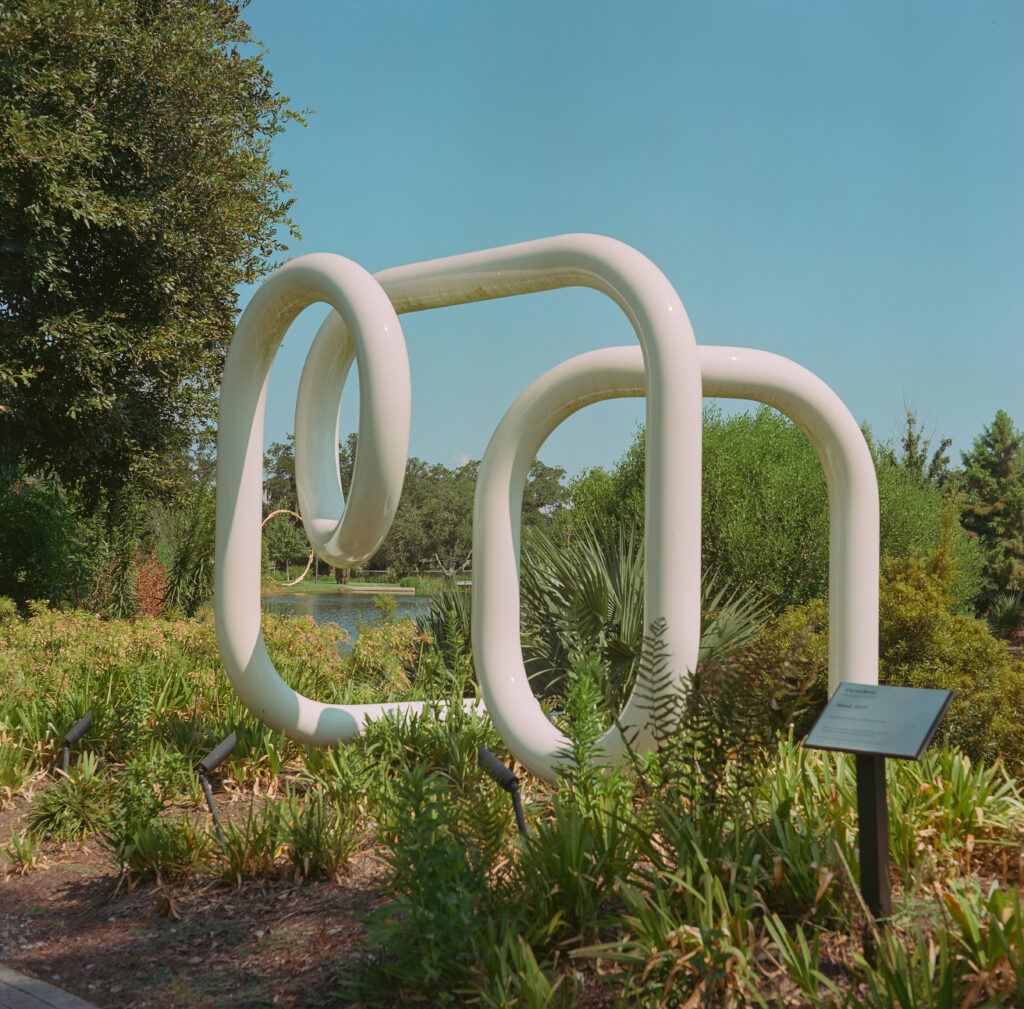 My first sculpture I photographed after entering the garden. Minolta Autocord, Portra 160.