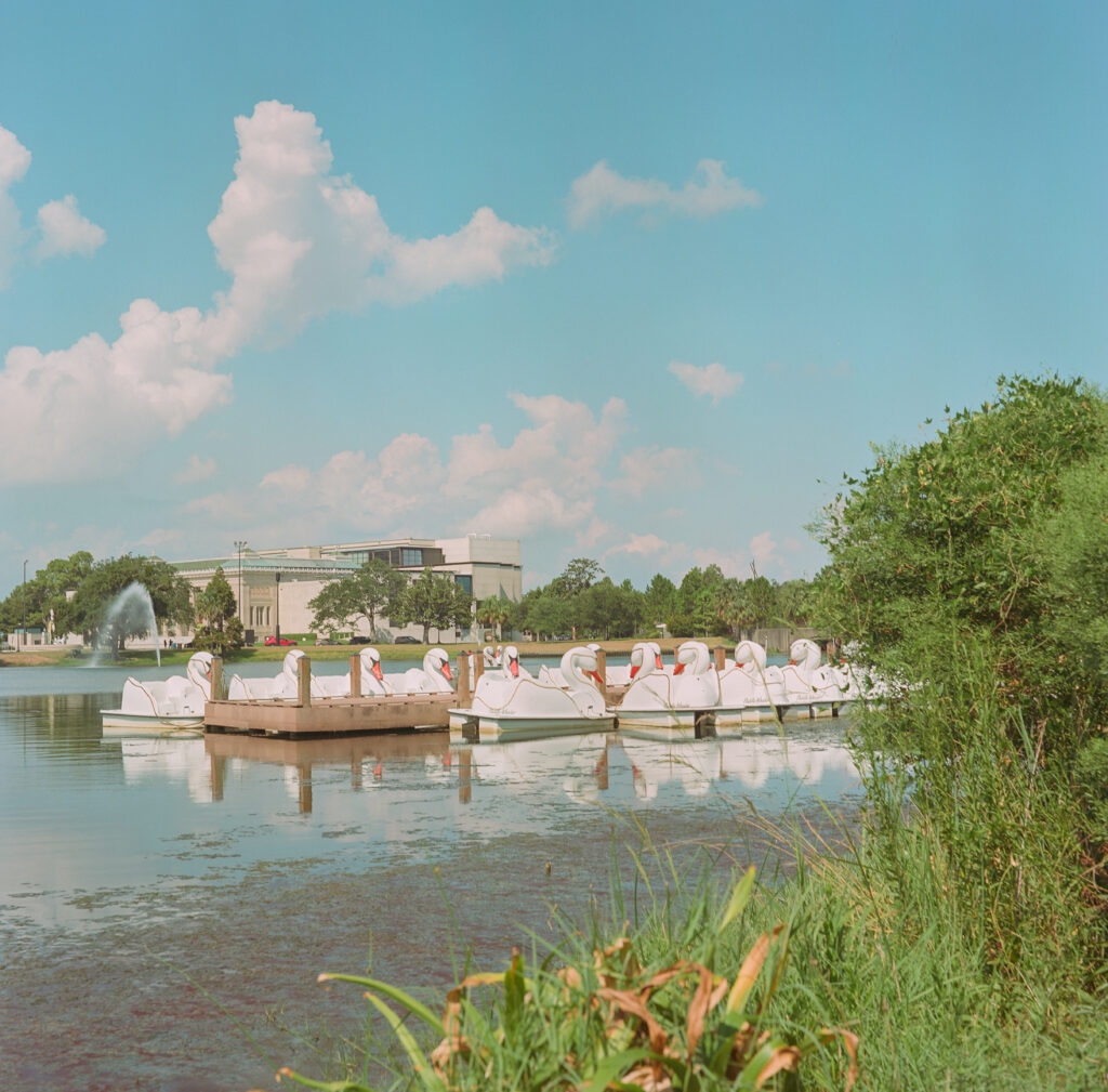 Swan pedal boats in Big Lake. NOMA in the background. Minolta Autocord, Portra 160.