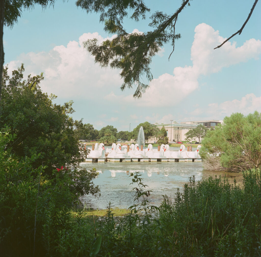 Swan pedal boats in Big Lake, New Orleans City Park. Minolta Autocord, Portra 160.