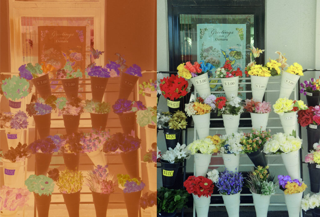 Flowers on sale in a shop in Oamaru, New Zealand taken recently. Fairly good colour after some post-processing.