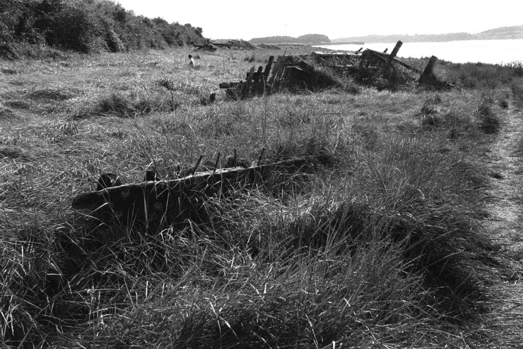 Purton Ships' Graveyard