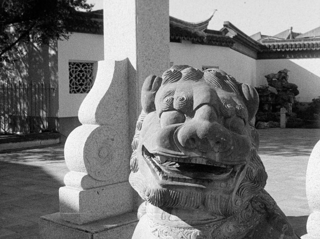 Gate guardian lion - Dunedin's Chinese Gardens.