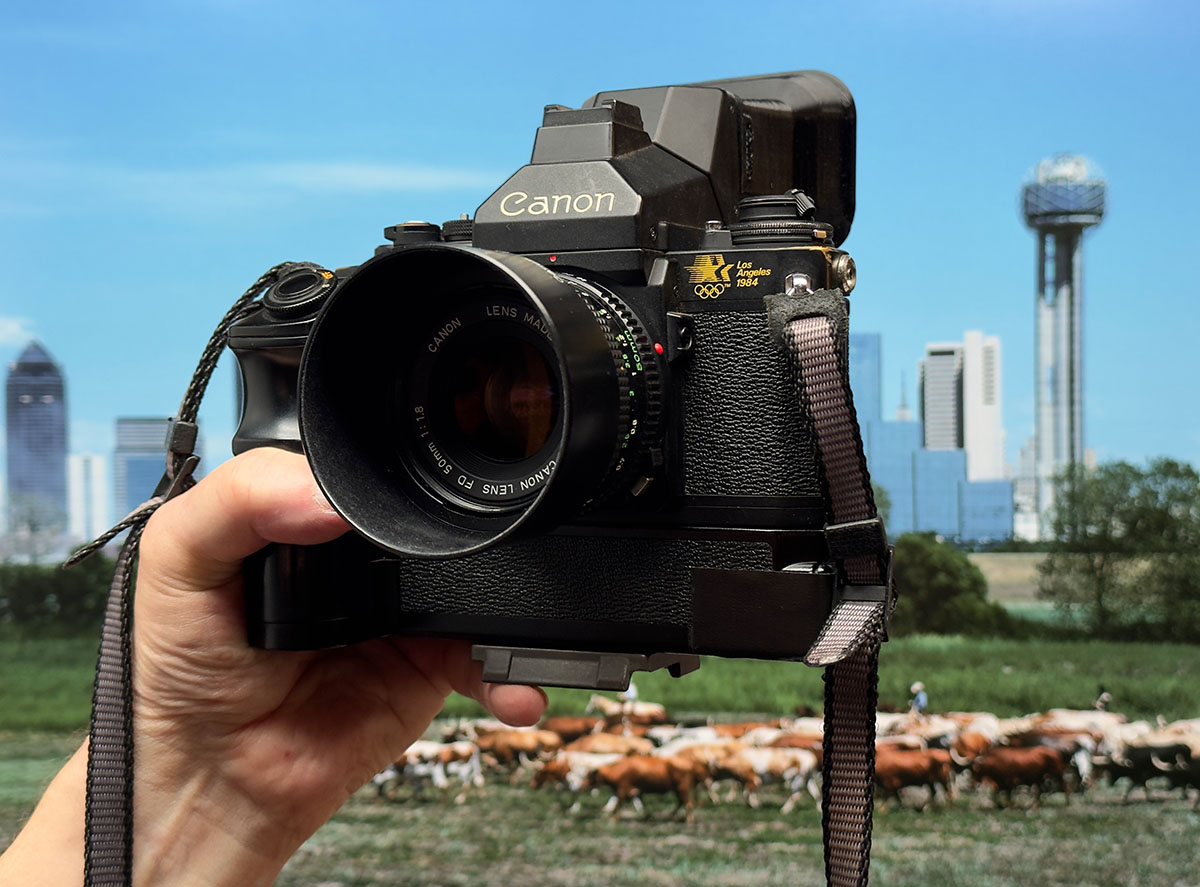 Canon F1-n in front of Dallas skyline print of longhorn cattle drive