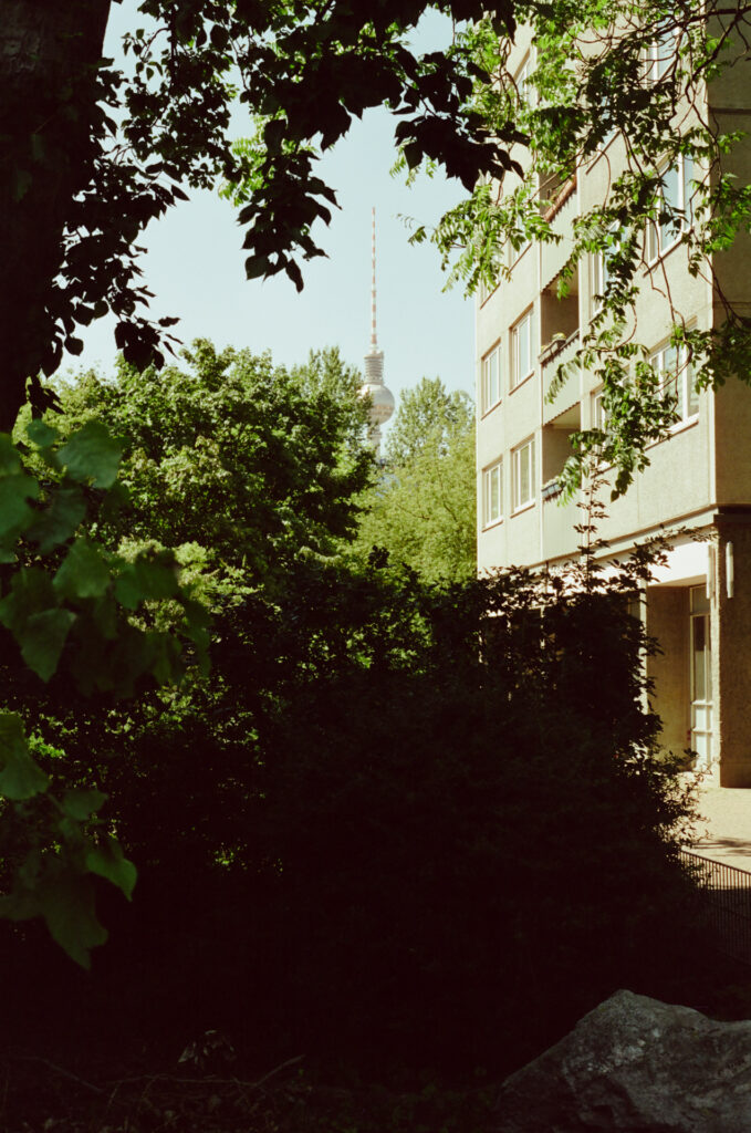 Berlin's TV Tower through foliage