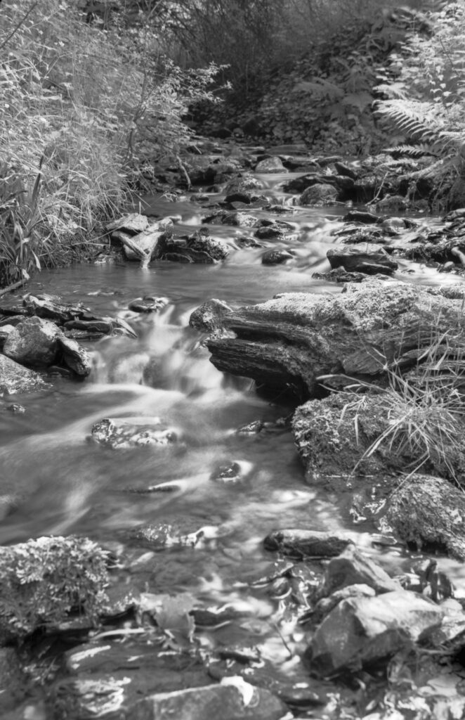 Black and white image of a stream flowing.