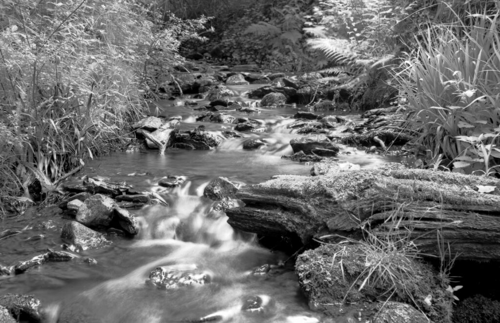 Black and white image of a stream flowing.