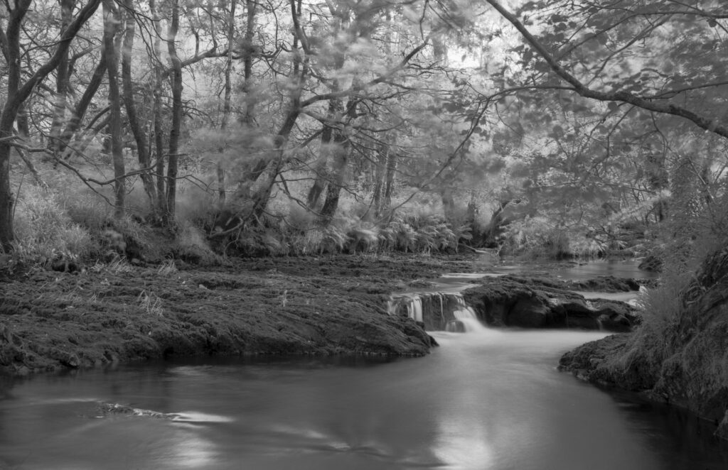 Black and white image of a river flowing.