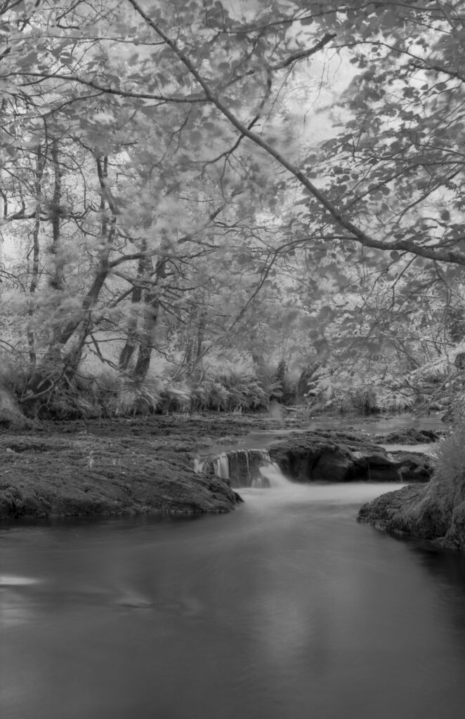 Black and white image of a river flowing.