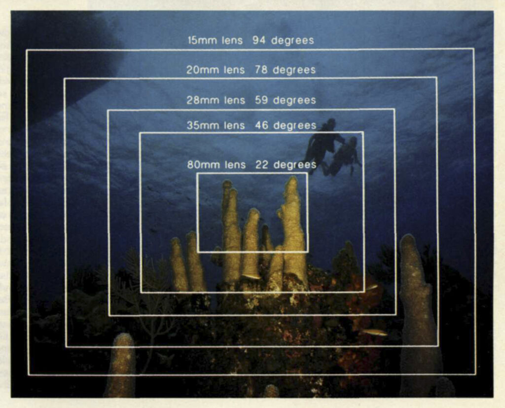 Nikonos Lenses from old brochure 