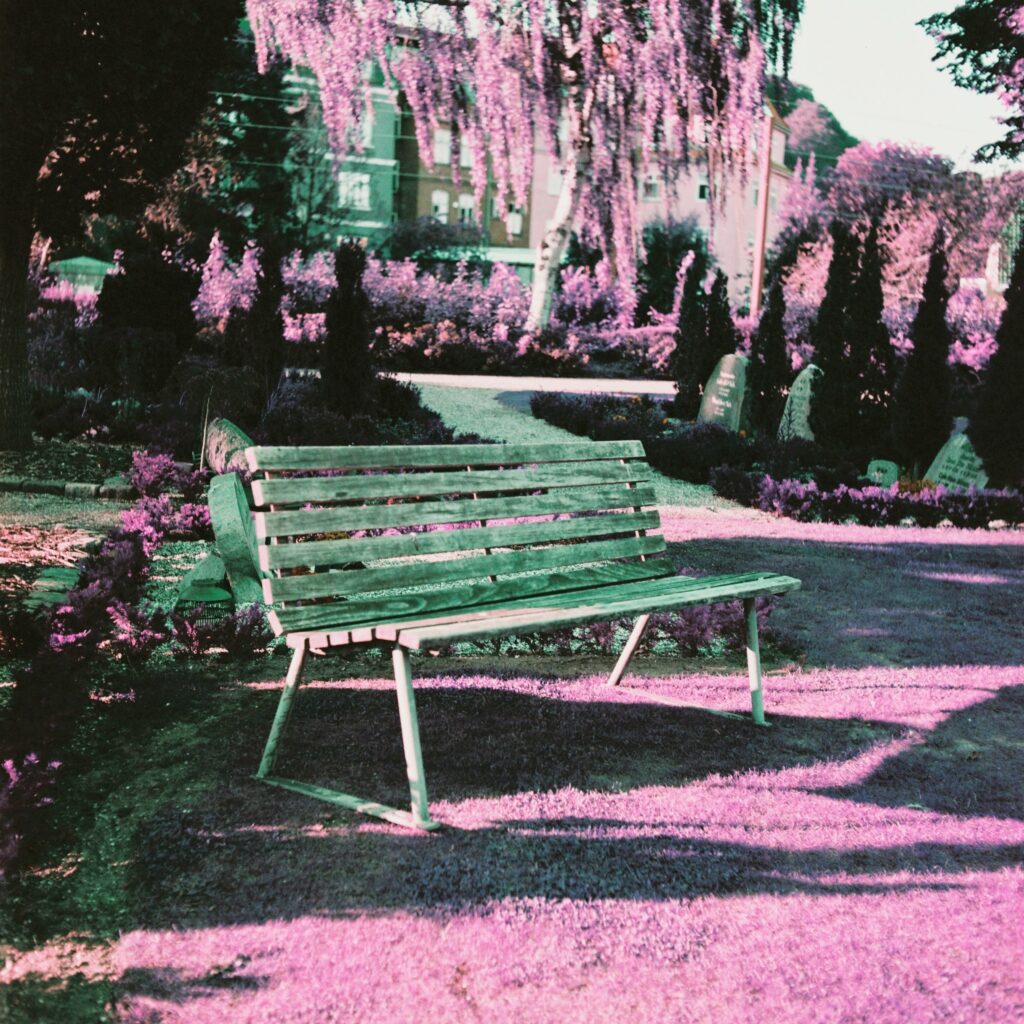 Bench shot on Lomo Purple with Rolleicord Va