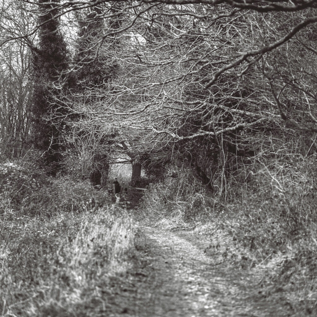 Box Hill in Surrey. Tele Rolleiflex Sonnar 135mm f/4. Potsdam 100 B&W film.