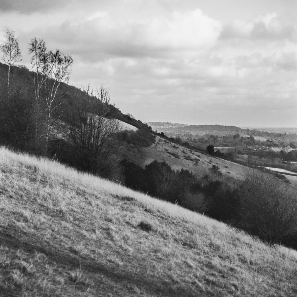 Box Hill in Surrey. Tele Rolleiflex Sonnar 135mm f/4. Potsdam 100 B&W film.