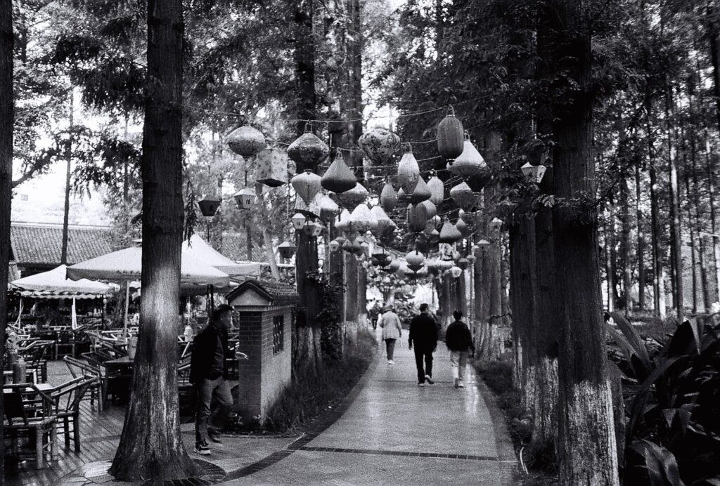 A path through a park with people walking along it and lanterns above.