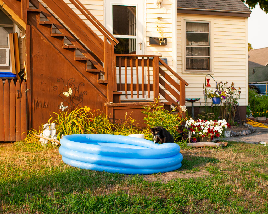 Cat about to hop into small inflatable kiddie pool