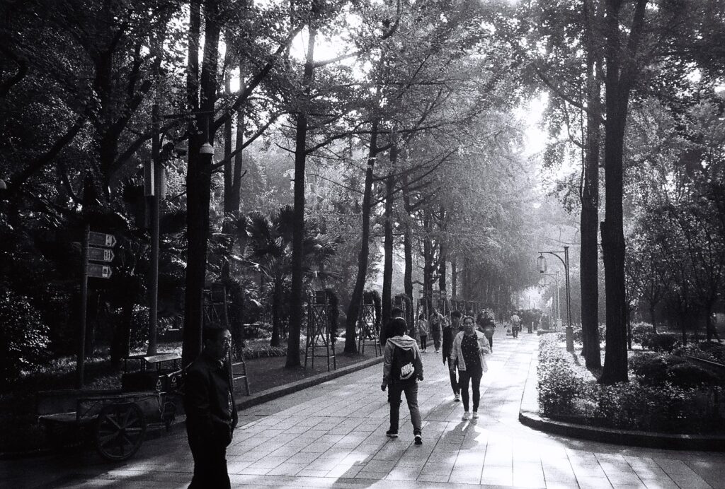 A view down one of the park's pedestrian avenues.