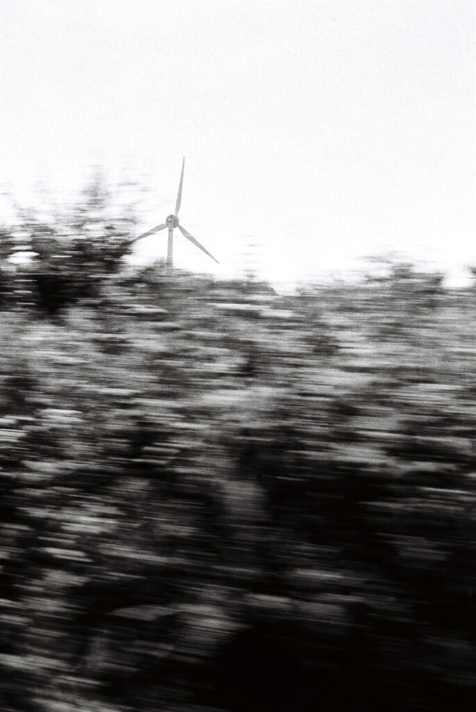 Black and white photo of a wind turbine peaking out of the top of trees with motion blur.