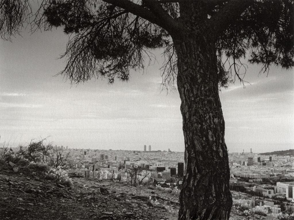 View of Barcelona from the hills. Kallitype print. Captured with the Rollei 35.