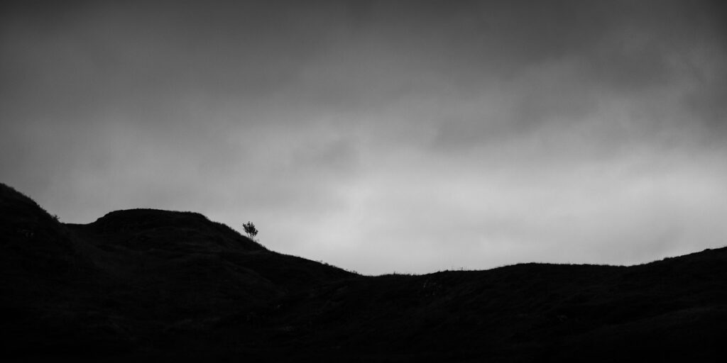 Lone tree on a mountain ridge. Captured with the Sony RX100.