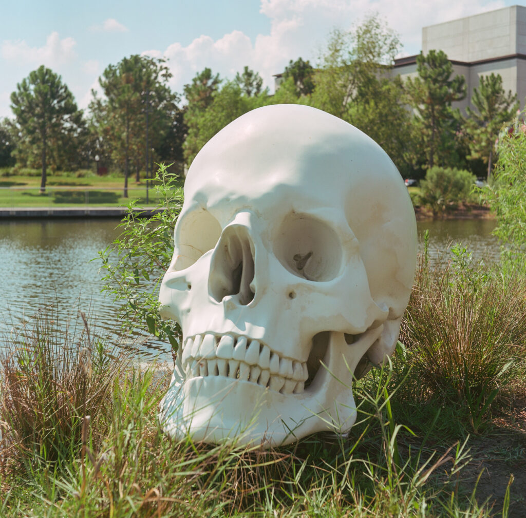 Large Skull Sculpture by the water. New Orleans City Park sculpture garden. Minolta Autocord, Portra 160.