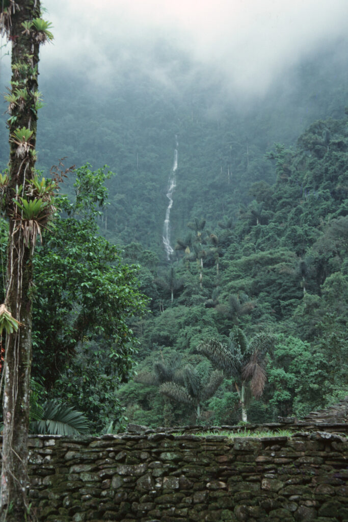 Ciudad Perdida platform and waterfall