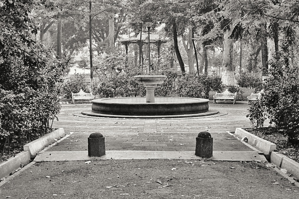 Los Berros Park in the Center of Xalapa, Veracruz, Mexico. 1991.