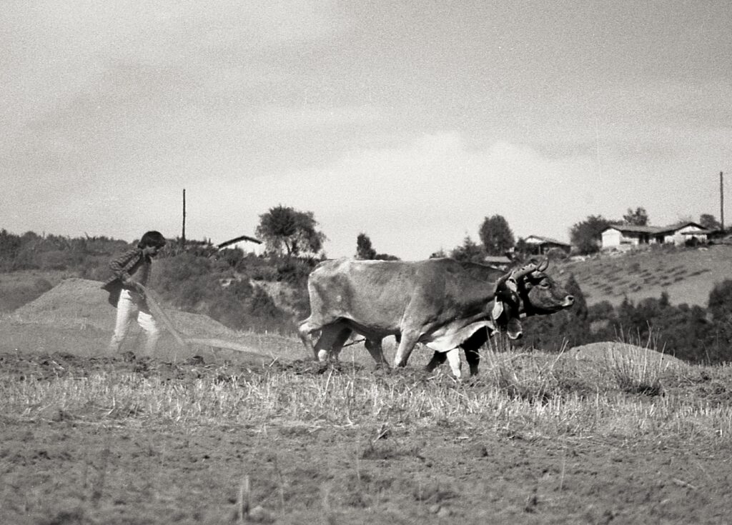 4 Images taken in the Municipality of San Felipe del Progreso, Mexico, (Mazahua Indigenous Communities) between 1991 and 1994.