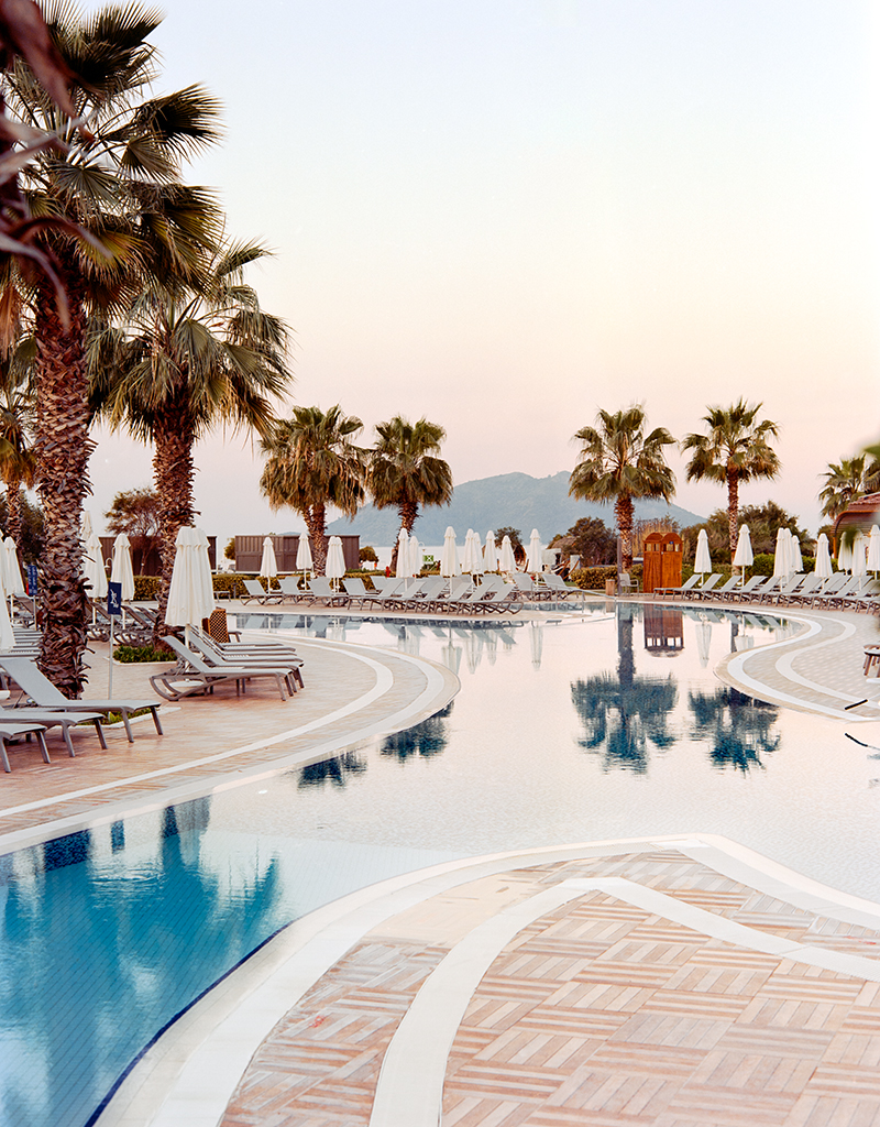 Pool and palms. early morning