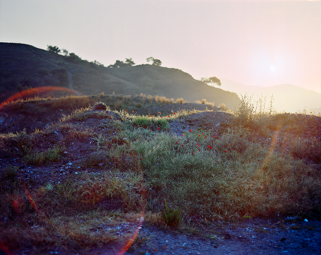 Dawn with poppies, near Fethiye, Turkey