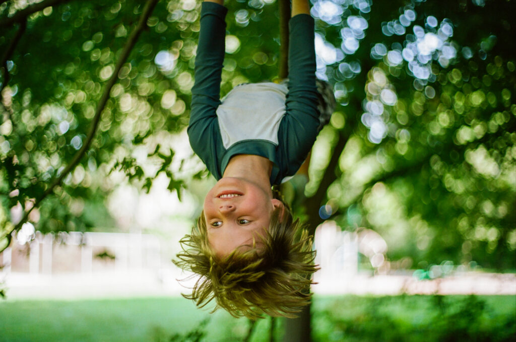 Boy in tree