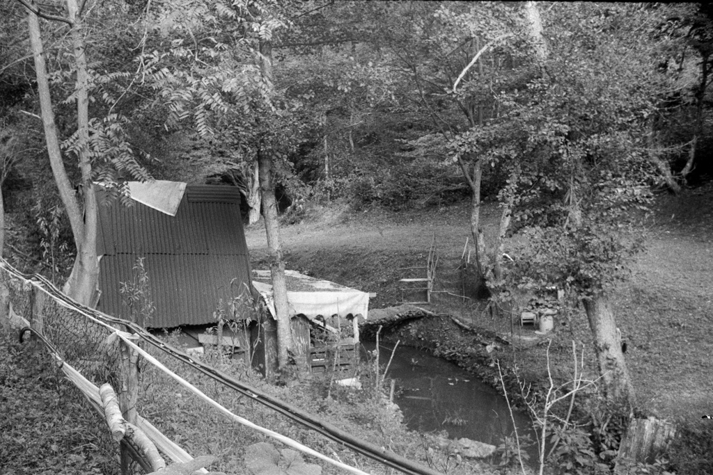 A tiny house by the creek