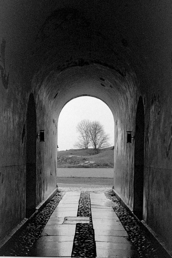 A black and white photograph of an arched tunnel between two buildings. The floor of the tunnel is slick with water. At the end of the tunnel there's a low hill with leafless trees on top of it.