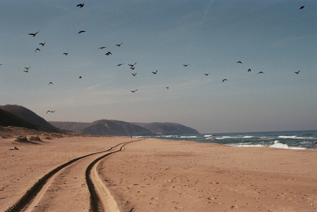 Endless sandy beach