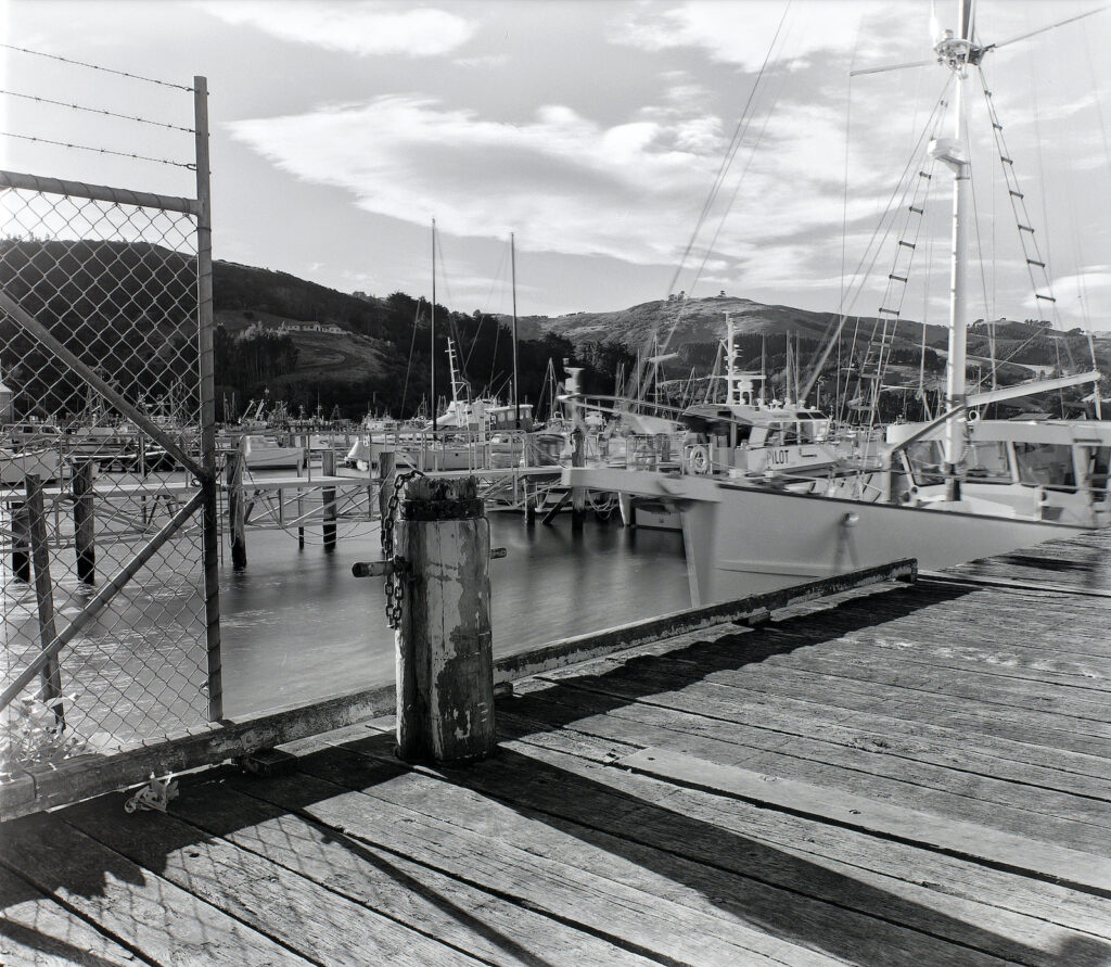 Port Chalmers wharfside.