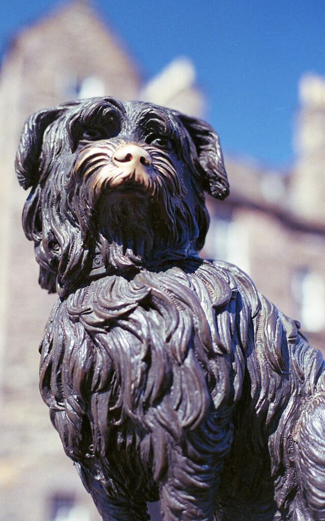 Greyfriars Bobby Statue, Edinburgh