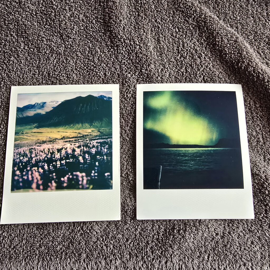 polaroid pictures, northern lights, prints, flowers, lupins